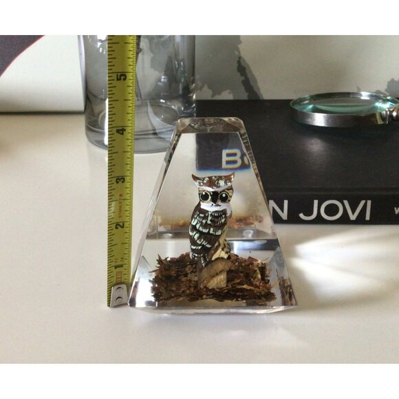 Lucite Pyramid Paperweight Hand Carved Painted Great Horned Owl MCM Mid-century - Picture 7 of 10